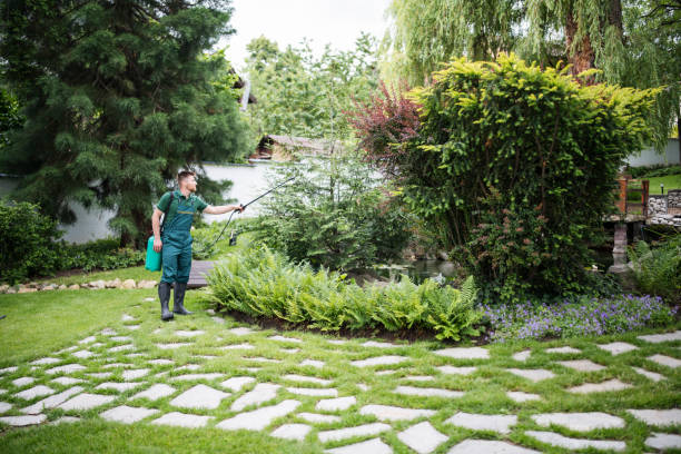 Best Ant Control Services  in Newton, NC